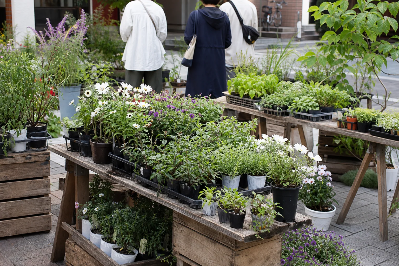 地域の植物マルシェに並ぶ花と苗