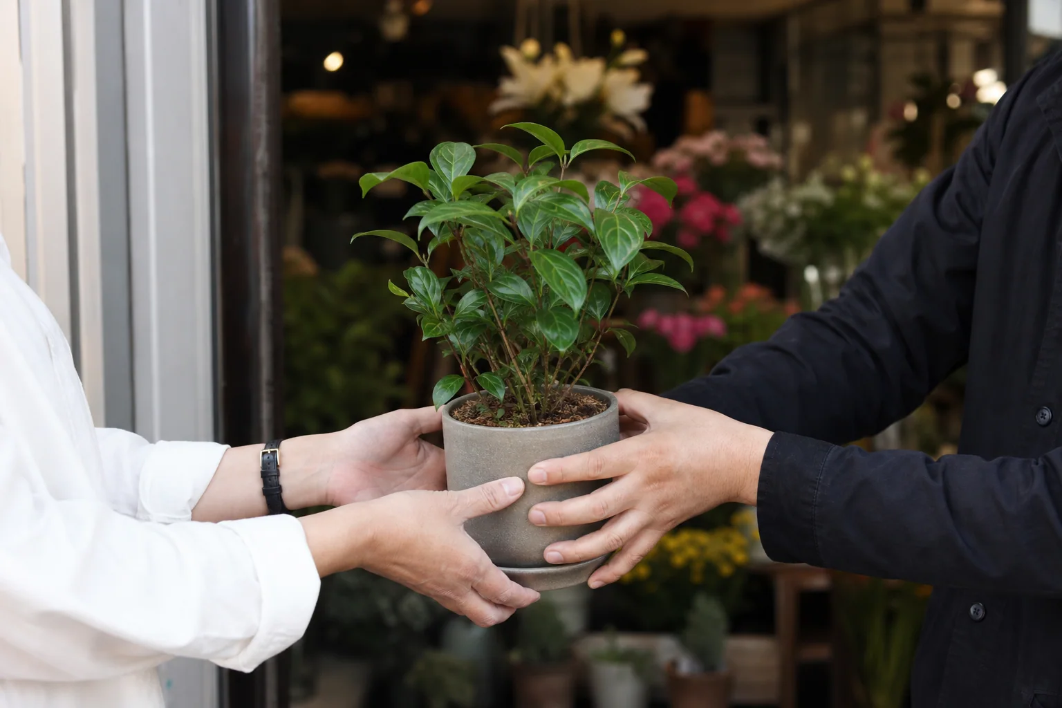 花屋の前で鉢植えを受け渡す手元